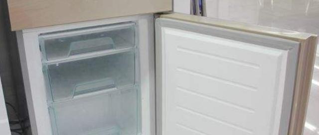 如何彻底清洁冰箱的管子（实用技巧教你轻松清理冰箱管道）