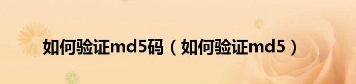 解决winpemd5不正确的方法（修复winpemd5计算错误的有效解决方案）