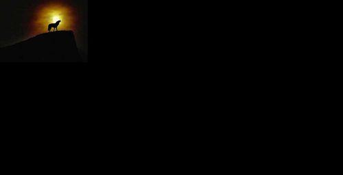 笔记本电脑开机后黑屏不显示桌面的解决方法（如何应对笔记本电脑开机黑屏问题）