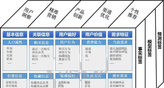 以用户画像案例分析为主题的文章（揭示消费者行为背后的关键特征）