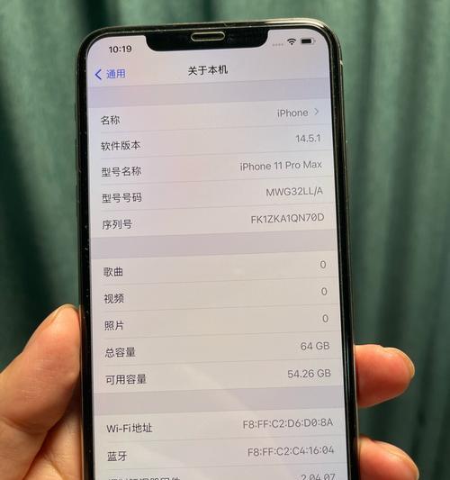 如何调整iPhone界面大小以适应个人需求（简单操作教程帮您轻松更改iPhone界面大小）