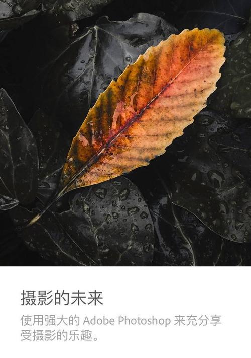 用RAW格式拍摄照片的意义（探索摄影中RAW格式的优势与应用）