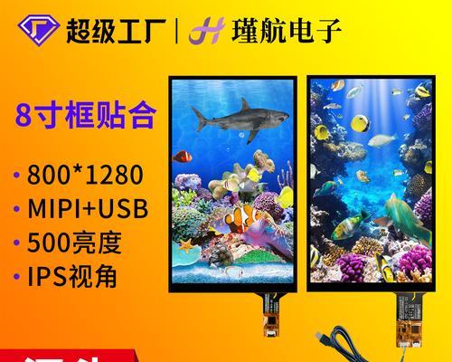 电脑卡屏死机画面定格怎么办？如何快速处理？
