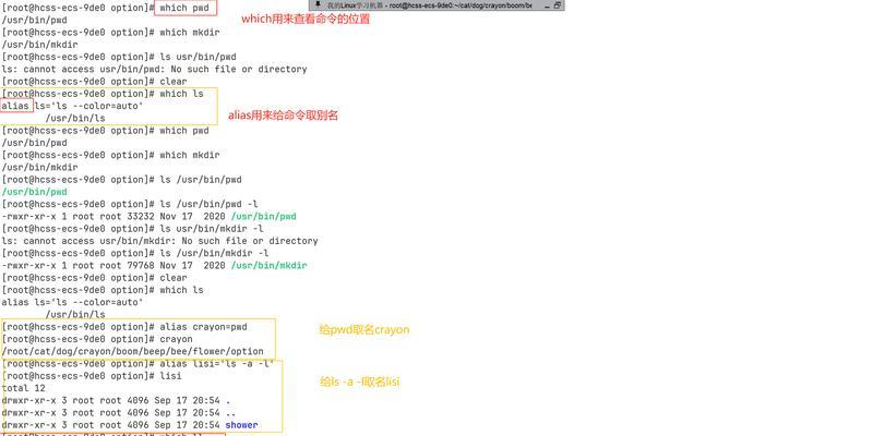 Linux常用命令有哪些？实例演示如何使用？