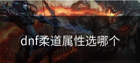 dnf男柔道时装属性如何选择？选择时装属性时应注意哪些常见问题？