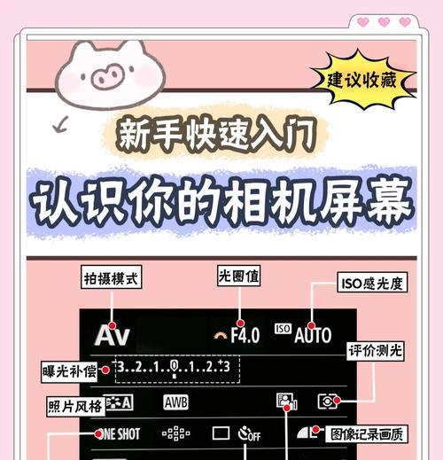 相机视频内存卡怎么导到电脑？有哪些步骤？