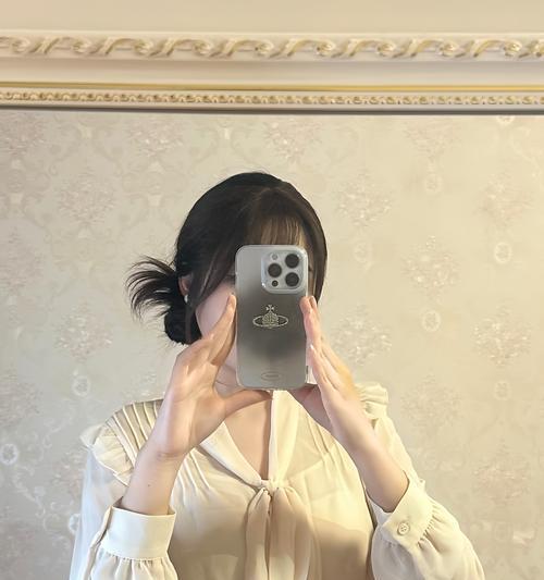 苹果手机外壳亮钻代表了什么？
