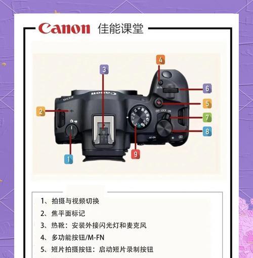 相机在强光下如何调整亮度？有哪些技巧？