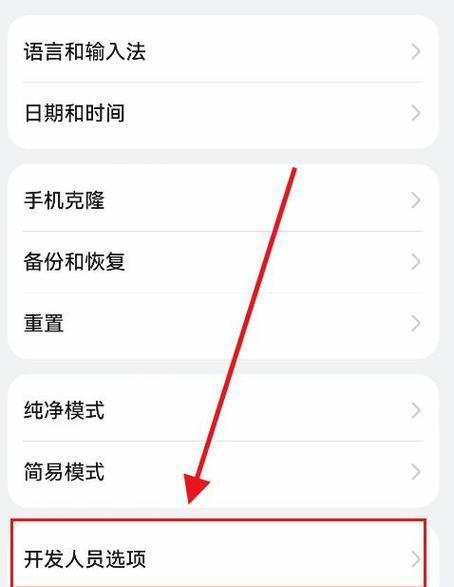 如何设置华为开发者选项以达到最流畅使用体验（华为手机开发者选项设置指南）