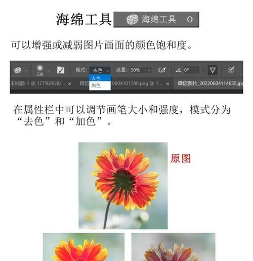 PS加深与减淡工具的使用技巧（打造细致的画面效果）