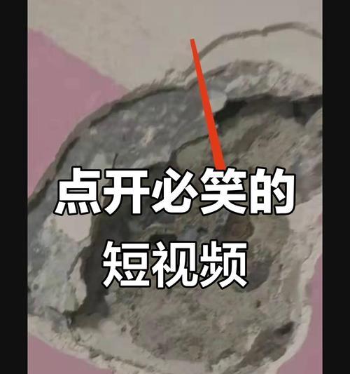 探究抖音中视频的魅力(从用户喜好到视频营销) 探究抖音中视频的魅力(从用户喜好到视频营销)