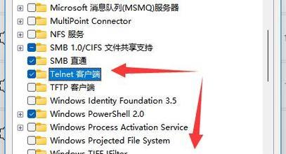 如何正确使用telnet（教你掌握telnet基础操作）