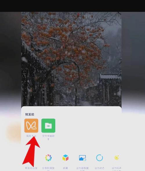 教你如何在手机上保存浏览器视频到相册（一步步操作）