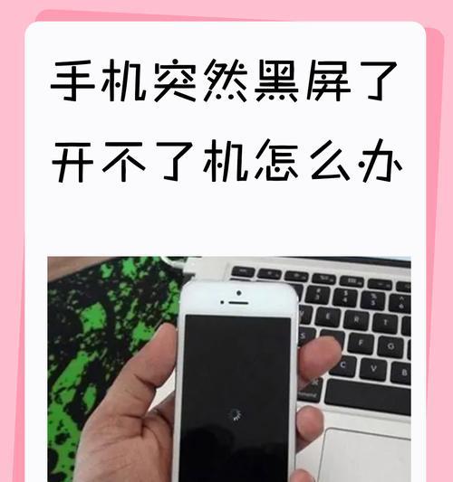 苹果手机黑屏如何解决（快速解决苹果手机黑屏问题的方法及步骤）