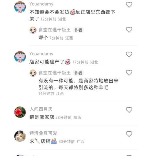如何在抖音中给别人的作品留言(了解抖音评论功能和留言技巧) 如何在抖音中给别人的作品留言(了解抖音评论功能和留言技巧)