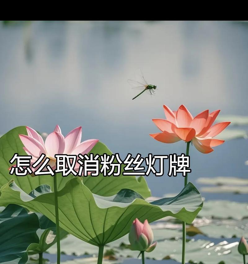 灯牌熄灭!如何解决(以粉丝灯牌灭了的办法) 灯牌熄灭!如何解决(以粉丝灯牌灭了的办法)