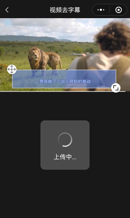 五款免费去字幕软件推荐(让你轻松去掉视频字幕的必备软件) 五款免费去字幕软件推荐(让你轻松去掉视频字幕的必备软件)