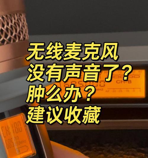 电脑麦克风没声音怎么办（解决电脑麦克风没有声音的方法）