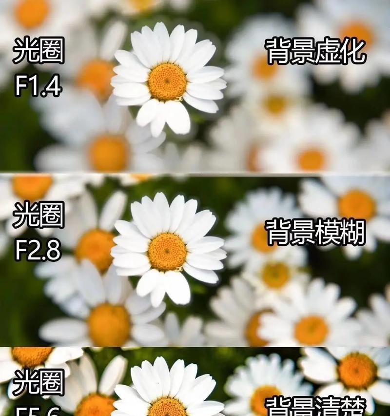 如何运用PS虚化效果打造高级照片(从原理到操作) 如何运用PS虚化效果打造高级照片(从原理到操作)