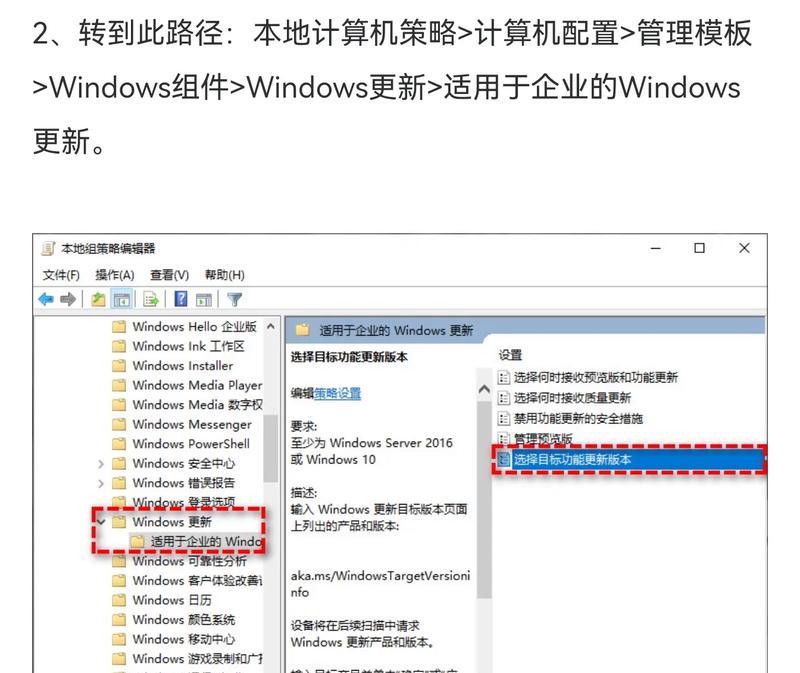 如何更新Windows11应用商店主题(一步步教你更新应用商店主题) 如何更新Windows11应用商店主题(一步步教你更新应用商店主题)