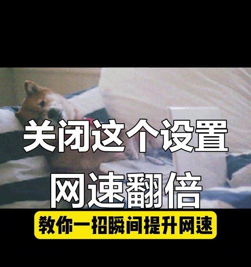 提升电脑网速的实用技巧 提升电脑网速的实用技巧
